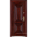 Steel Exterior Doors (WX-LS-298)